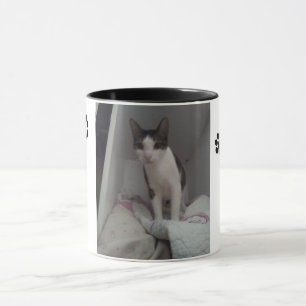 Mug Il effiloche chat joli
