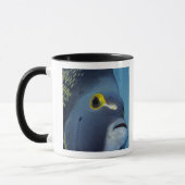 Mug Îles Caïmans, Poisson-ange français Pomacanthus (Gauche)