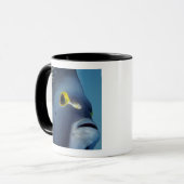 Mug Îles Caïmans, Poisson-ange français Pomacanthus (Devant gauche)