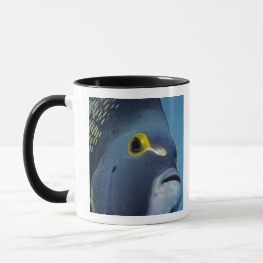 Mug Îles Caïmans, Pomacanthus française (Gauche)