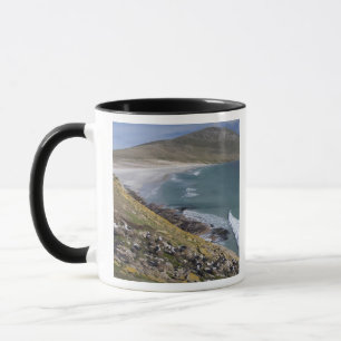 Mug Îles Falkland, Malouines occidentales, Saunders