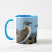 Mug Îles Galapagos, île Isabela (Gauche)