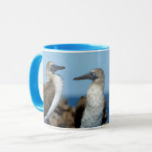 Mug Îles Galapagos, île Isabela (Devant gauche)