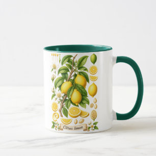 Mug Illustration botanique vintage de citron