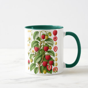Mug Illustration Botanique Vintage de Framboise