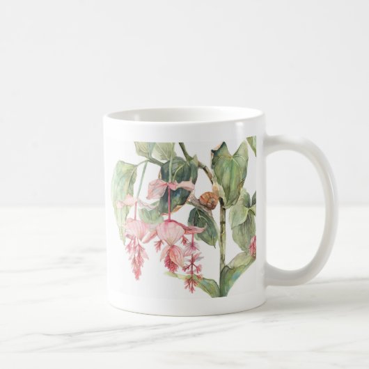 Mug Illustration de l'art botanique de Medinilla (Droite)
