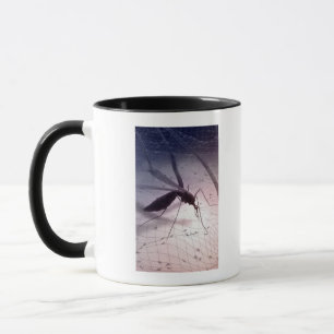 Mug Illustration de mordre de moustique