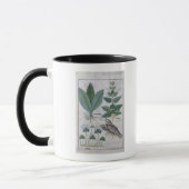 Mug Illustration du 'livre des médecines simples (Gauche)