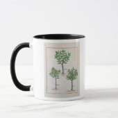 Mug Illustration du 'livre des médecines simples (Gauche)