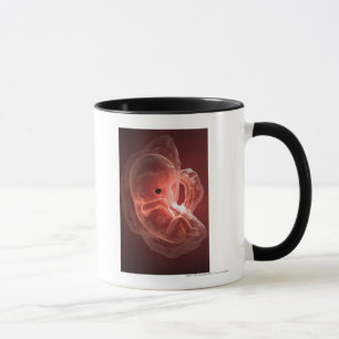 Mug Illustration d'un embryon se développant