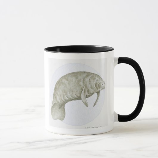 Mug Illustration d'un lamantin (espèces de Trichechus) (Droite)