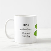 Mug Illustration et utilisations de la menthe (Gauche)