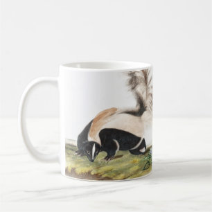 Mug Illustration LargeTail Skunk Mephitis macroura
