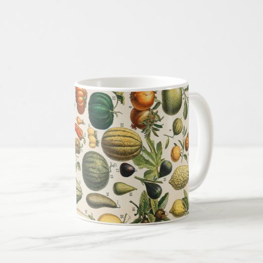 Mug Illustration scientifique végétale des fruits (Devant droit)