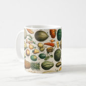 Mug Illustration scientifique végétale des fruits (Devant gauche)