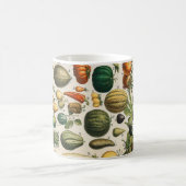 Mug Illustration scientifique végétale des fruits (Centre)