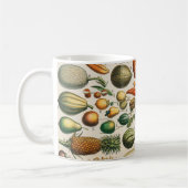 Mug Illustration scientifique végétale des fruits (Gauche)