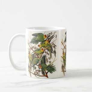 Mug Illustration vintage d'Audubon du Perroquet de Car