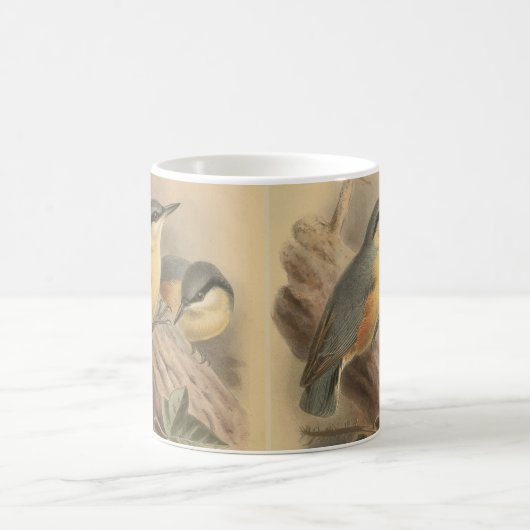 Mug Illustration vintage de Nuthatch (Centre)
