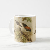 Mug Illustration vintage de Pie-grièche d'été (Devant gauche)