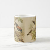 Mug Illustration vintage de Pie-grièche d'été (Centre)