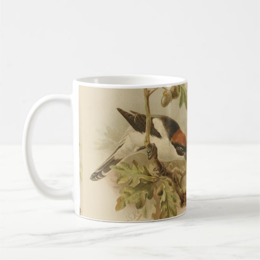 Mug Illustration vintage de Pie-grièche d'été (Gauche)