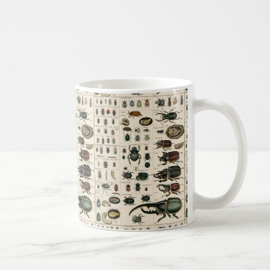 Mug Illustration vintage de scarabée (Droite)