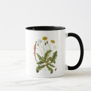 Mug Illustration vintage du Dandelion