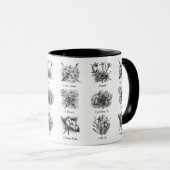Mug Illustrations botaniques (Devant droit)