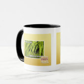Mug im dans l'herbe d'ur (Devant gauche)