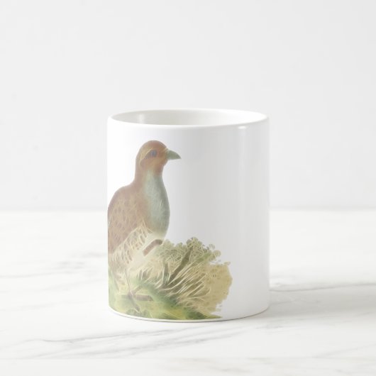 Mug Image de Gamefowl de perdrix grise (Centre)