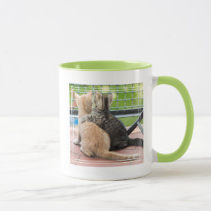 Mug Images de Getty deux chatons sur un balcon