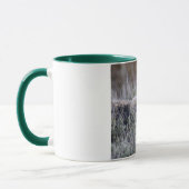 MUG IMG_0328 (Gauche)