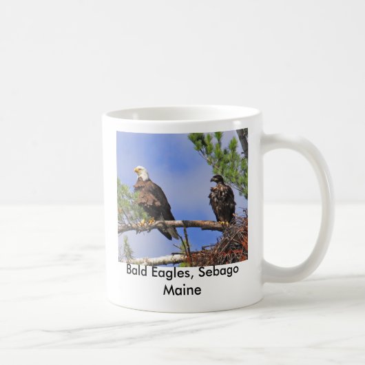 Mug IMG_0411cn, Eagles chauve, Sebago Maine (Droite)