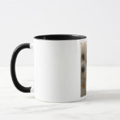 MUG IMG_0935 (Gauche)