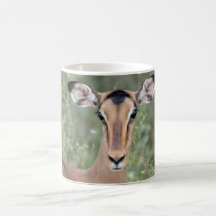 Mug Impala Portrait