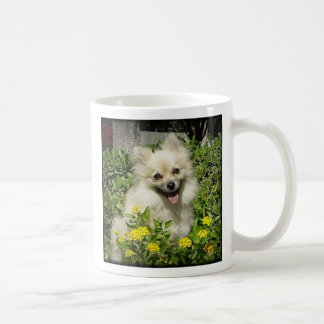 Mug Impertinent - le bonheur est l'amour d'un Pomera