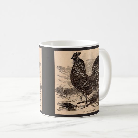 Mug Impression de coq Gallus Sonneratii du 19e siècle (Devant droit)