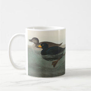 Mug Impression de Macreuse noire d'Audubon : Canard cô