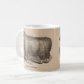 Mug Imprimé au 19e siècle année Cotswold brebis (Devant gauche)
