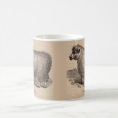 Mug Imprimé au 19e siècle année Cotswold brebis (Centre)