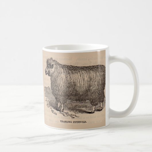 Mug Imprimé au 19e siècle année Cotswold brebis (Droite)