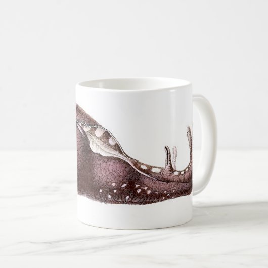 Mug Inca d'aplysie (Devant droit)