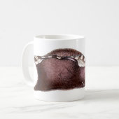 Mug Inca d'aplysie (Devant gauche)