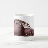 Mug Inca d'aplysie (Centre)