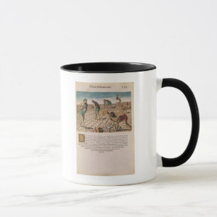 Mug Indiens de la Floride plantant le maïs