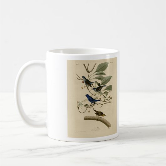 Mug Indigo Bunting d'Audubon's Birds of America (Gauche)