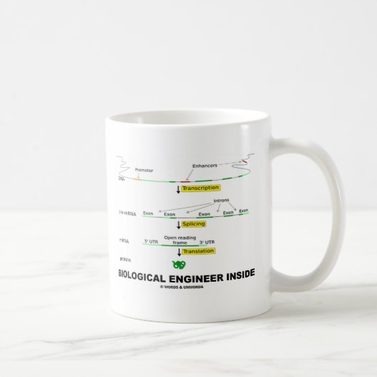 Mug Ingénieur biologique à l'intérieur (Droite)