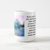 Mug Insectes de beta-caténine (Centre)