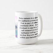 Mug Insectes de beta-caténine (Devant droit)